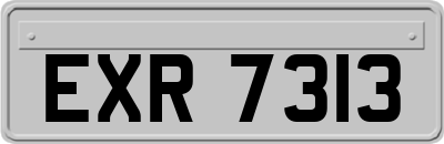 EXR7313