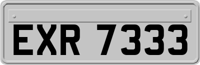 EXR7333