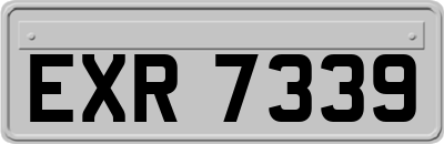 EXR7339