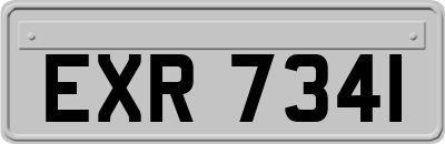 EXR7341