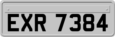 EXR7384