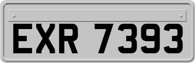 EXR7393