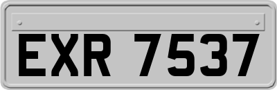 EXR7537
