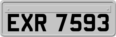EXR7593