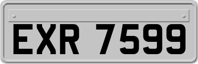 EXR7599