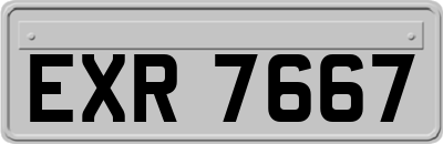 EXR7667