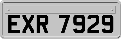 EXR7929