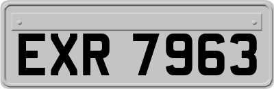 EXR7963