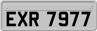 EXR7977