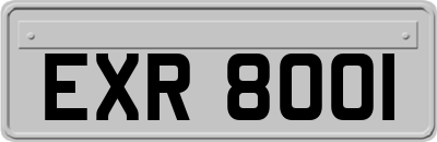 EXR8001