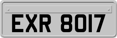 EXR8017