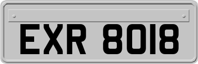 EXR8018