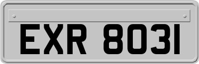 EXR8031