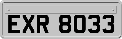 EXR8033