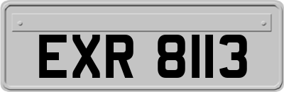 EXR8113