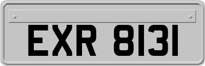 EXR8131