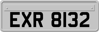 EXR8132