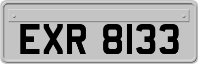 EXR8133