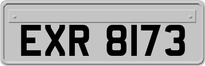 EXR8173
