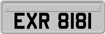 EXR8181