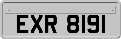 EXR8191