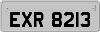 EXR8213