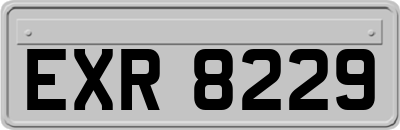 EXR8229