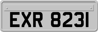 EXR8231