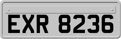 EXR8236