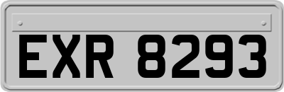 EXR8293