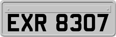 EXR8307