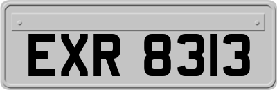 EXR8313