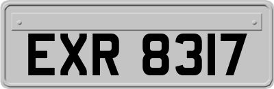 EXR8317