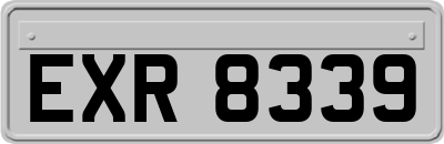EXR8339