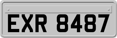 EXR8487