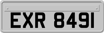 EXR8491