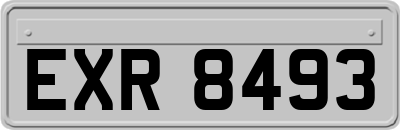 EXR8493