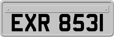 EXR8531