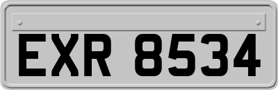 EXR8534