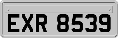 EXR8539