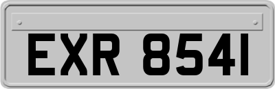 EXR8541