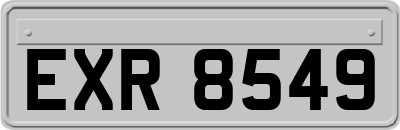 EXR8549