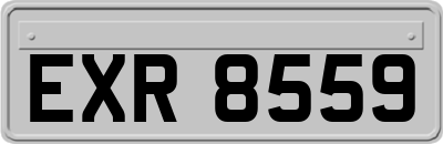 EXR8559