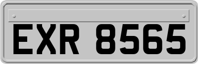 EXR8565
