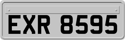 EXR8595
