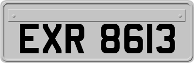 EXR8613
