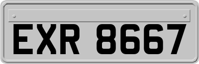 EXR8667