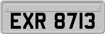 EXR8713