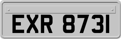 EXR8731