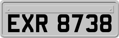 EXR8738